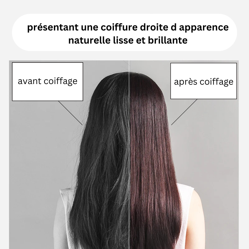 sèche-cheveux et lisseur pro 2 en 1