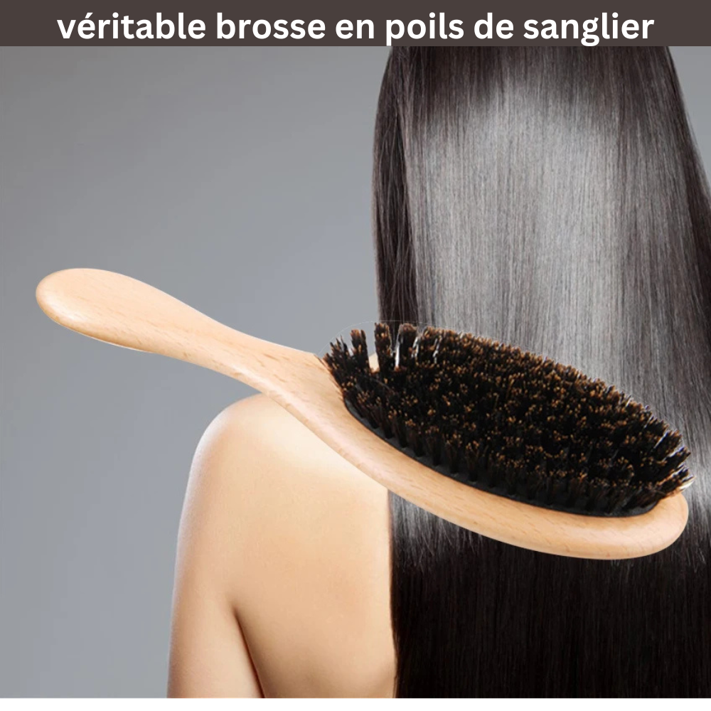 brosse poil de sanglier