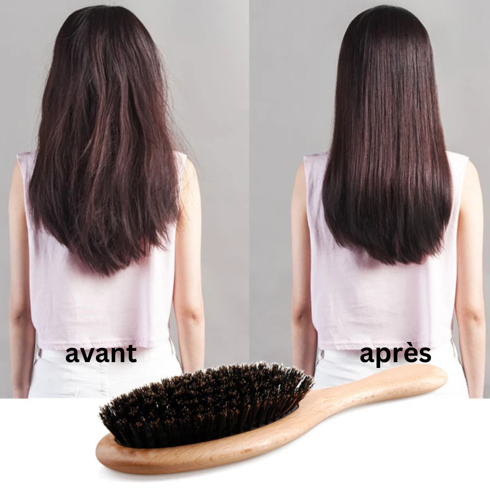 brosse poil de sanglier